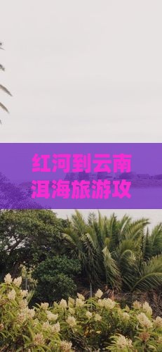 红河去云南洱海攻略