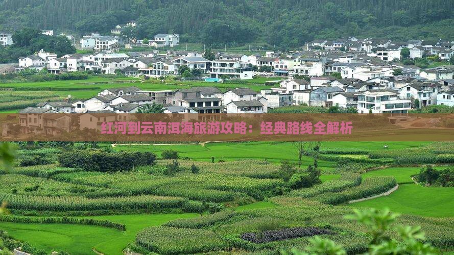 红河去云南洱海攻略