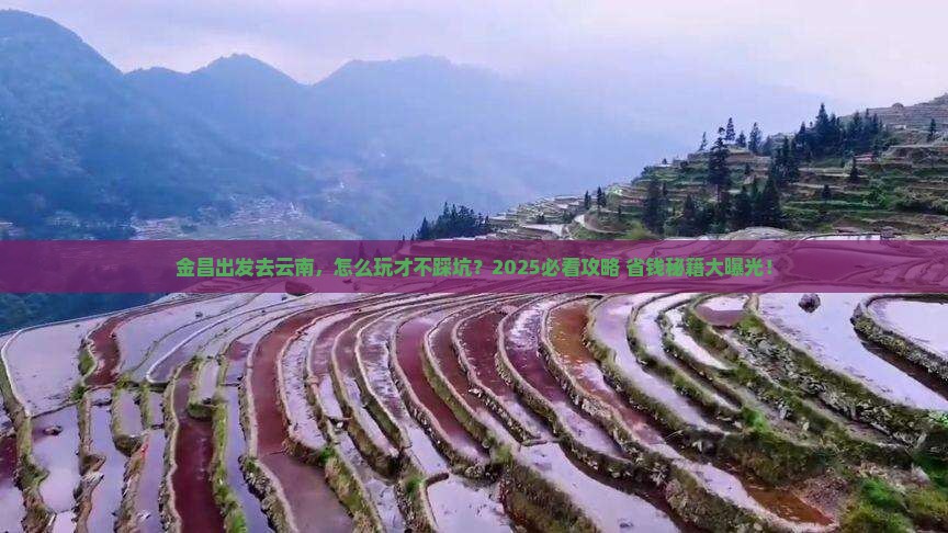 金昌到云南旅行社