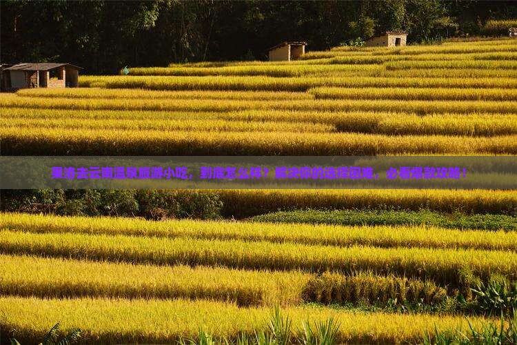果洛去云南温泉旅游小吃