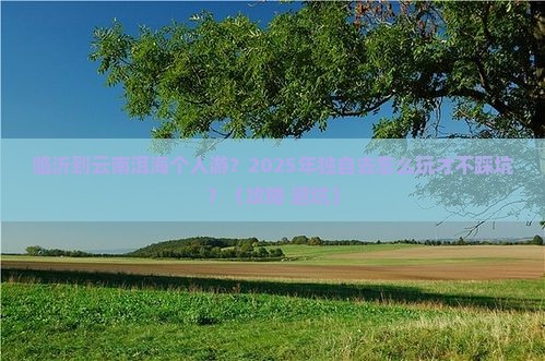 临沂到云南洱海个人游