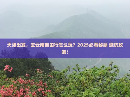 天津到云南自由行