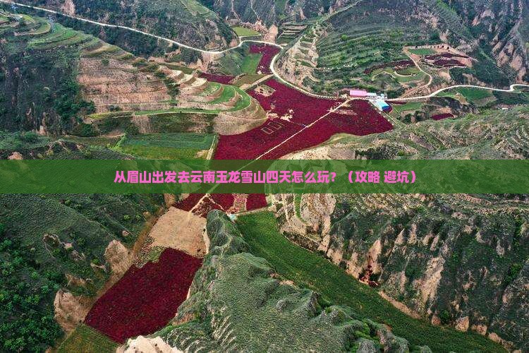 眉山去云南玉龙雪山四日游