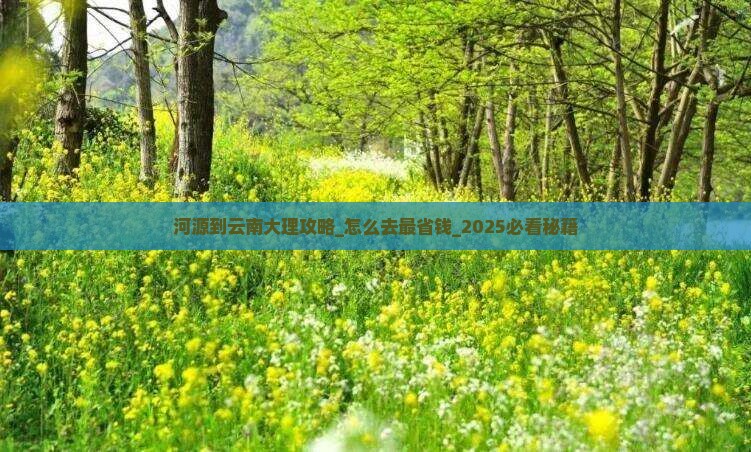 河源到云南大理攻略
