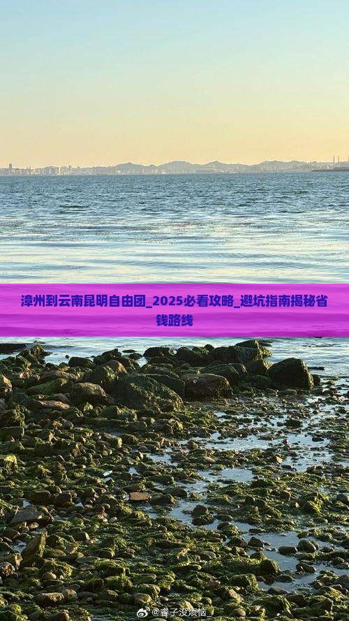 漳州到云南昆明自由团