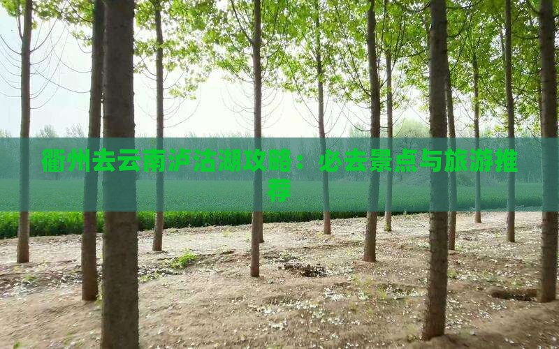 衢州去云南泸沽湖必去地