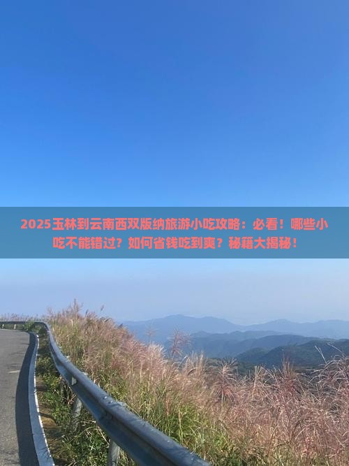 玉林到云南西双版纳旅游小吃