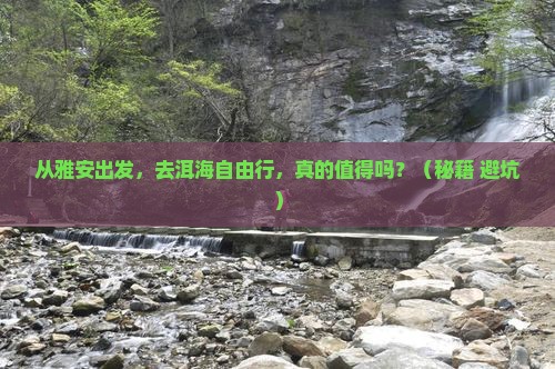 雅安到云南洱海自由行