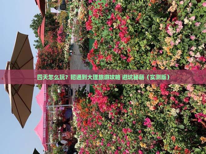 昭通到云南大理四日游