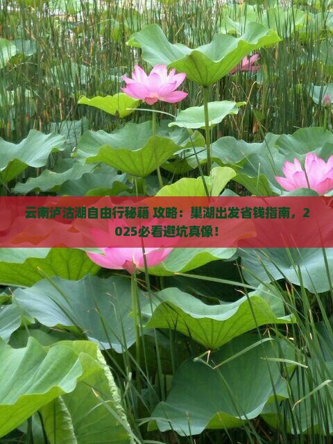 巢湖去云南泸沽湖自由团