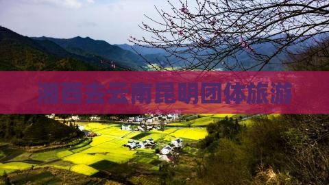 湘西去云南昆明团体旅游