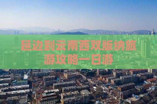 延边到云南西双版纳一日