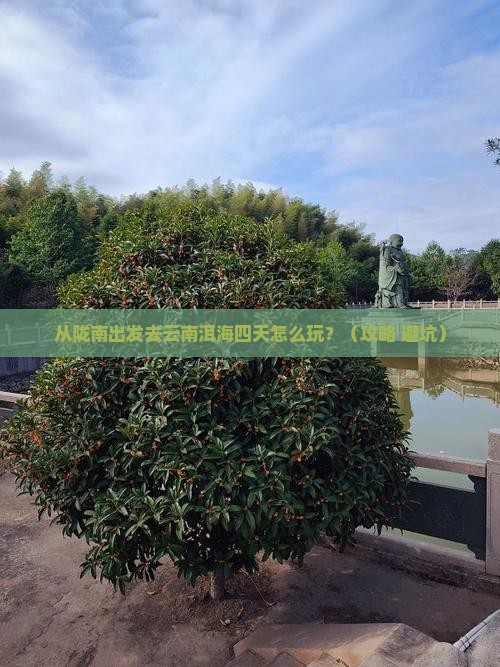 陇南去云南洱海四日游
