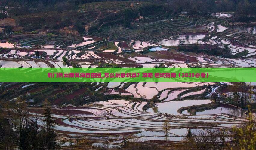 荆门到云南洱海自由团