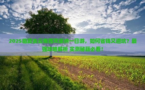 临夏去云南西双版纳一日
