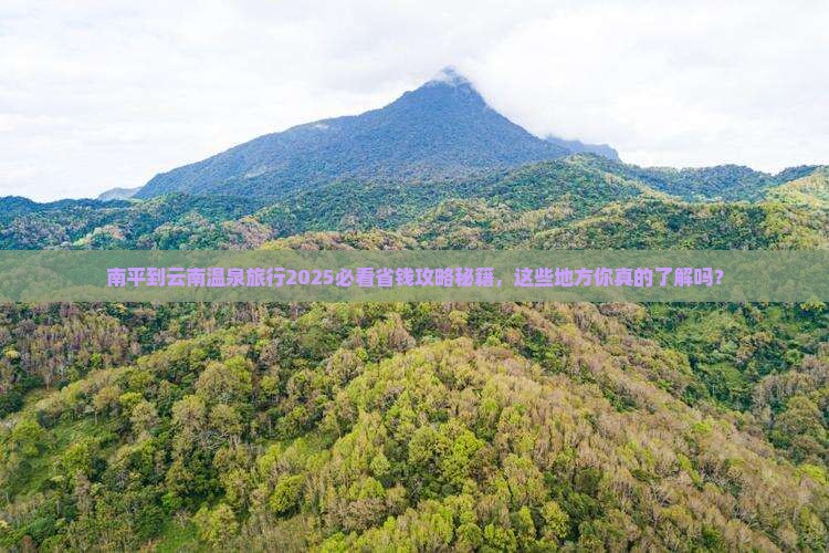 南平到云南温泉旅行社