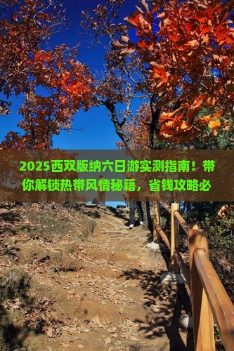 六月去云南西双版纳六日游