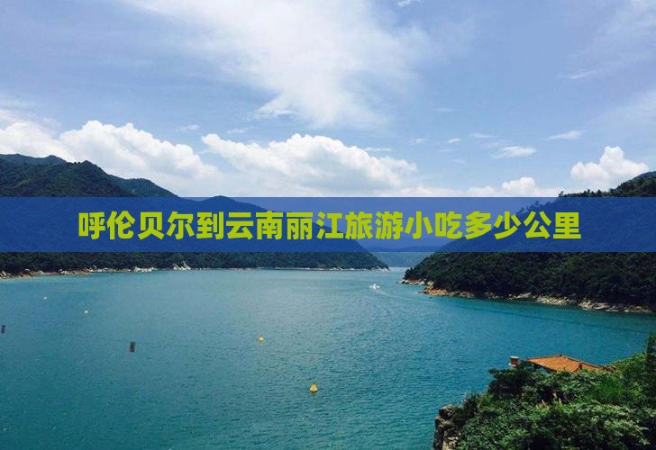 呼伦贝尔到云南丽江旅游小吃