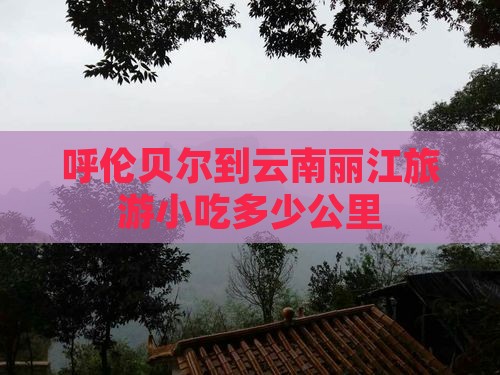 呼伦贝尔到云南丽江旅游小吃
