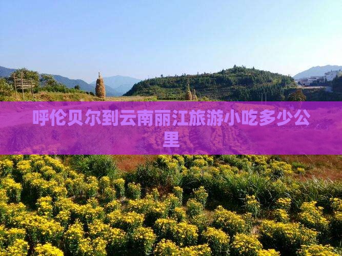 呼伦贝尔到云南丽江旅游小吃