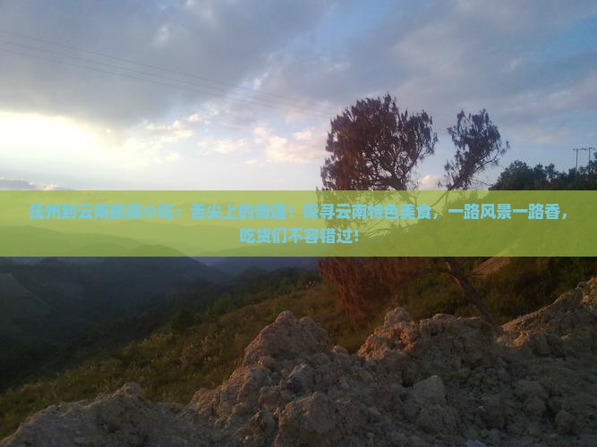抚州到云南旅游小吃