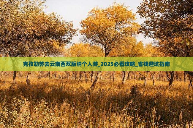 克孜勒苏去云南西双版纳个人游