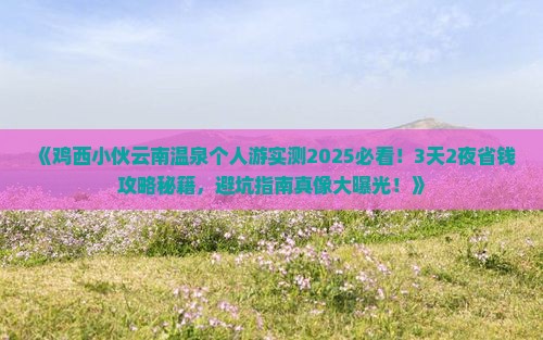 鸡西到云南温泉个人游
