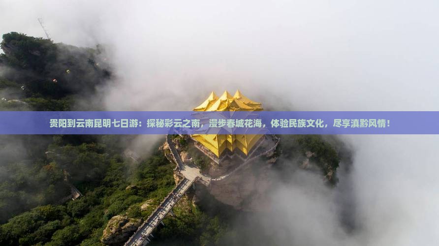 贵阳到云南昆明七日游