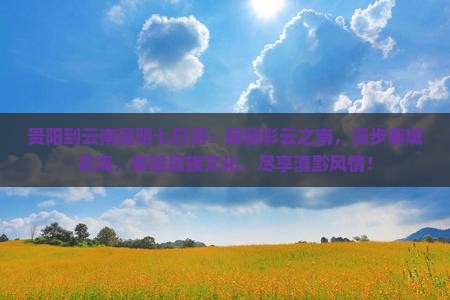 贵阳到云南昆明七日游