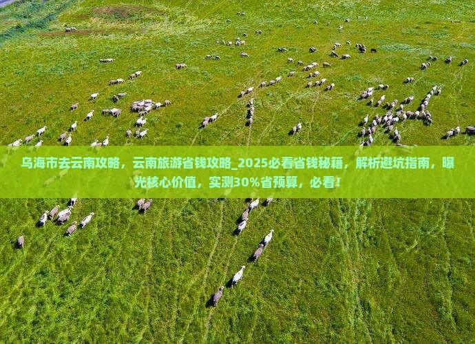 乌海市去云南攻略