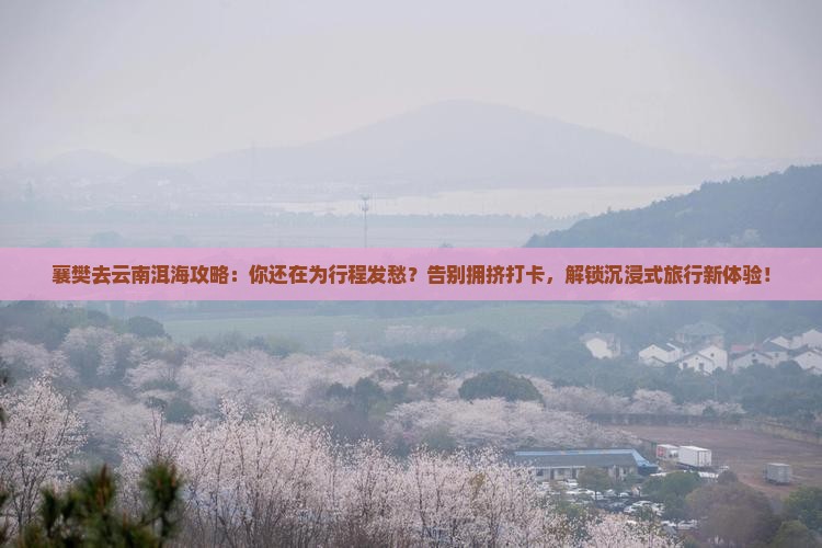 襄樊去云南洱海攻略