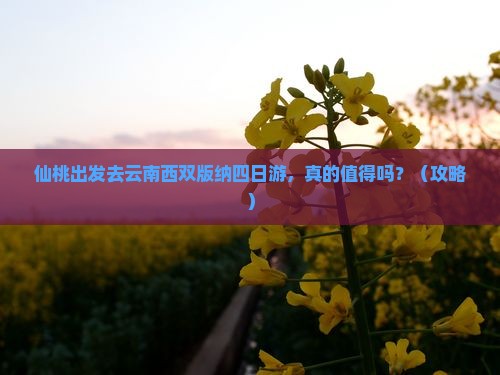 仙桃去云南西双版纳四日游