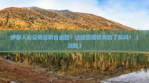 伊春去云南昆明自由团