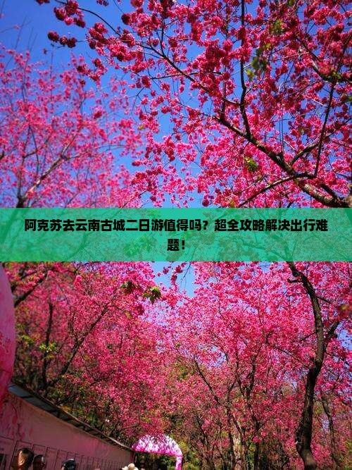 阿克苏去云南古城二日游
