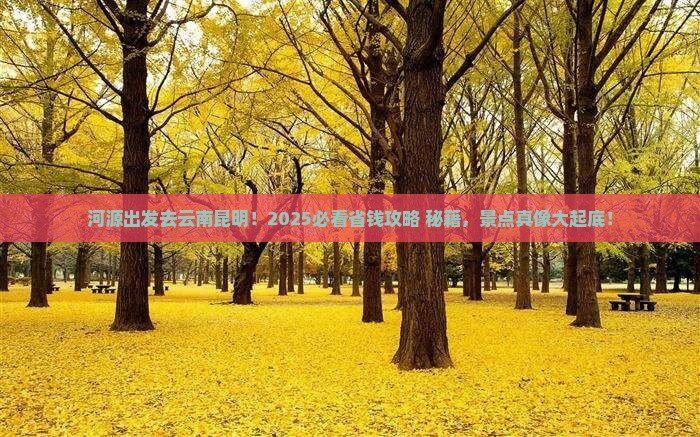 河源去云南昆明景点