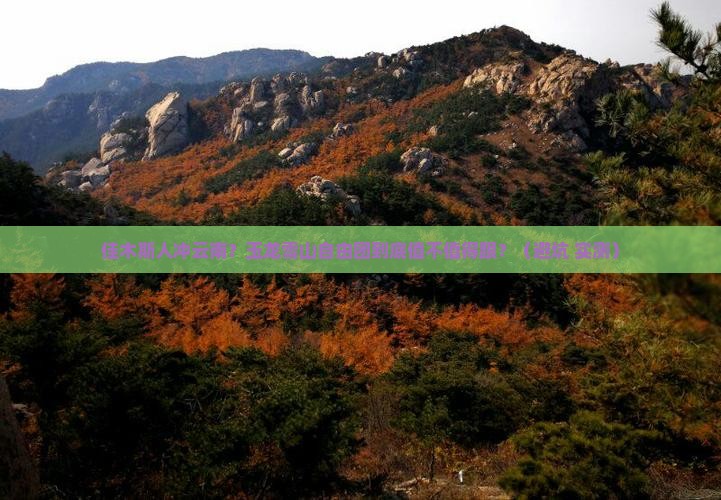 佳木斯去云南玉龙雪山自由团