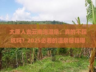太原去云南温泉攻略