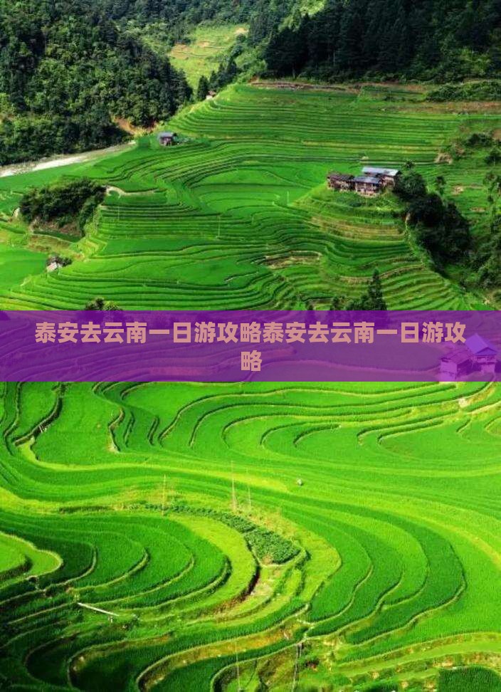 泰安去云南一日