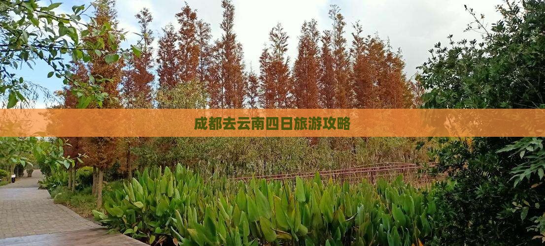 成都去云南四日游