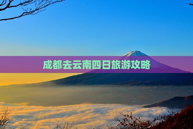 成都去云南四日游