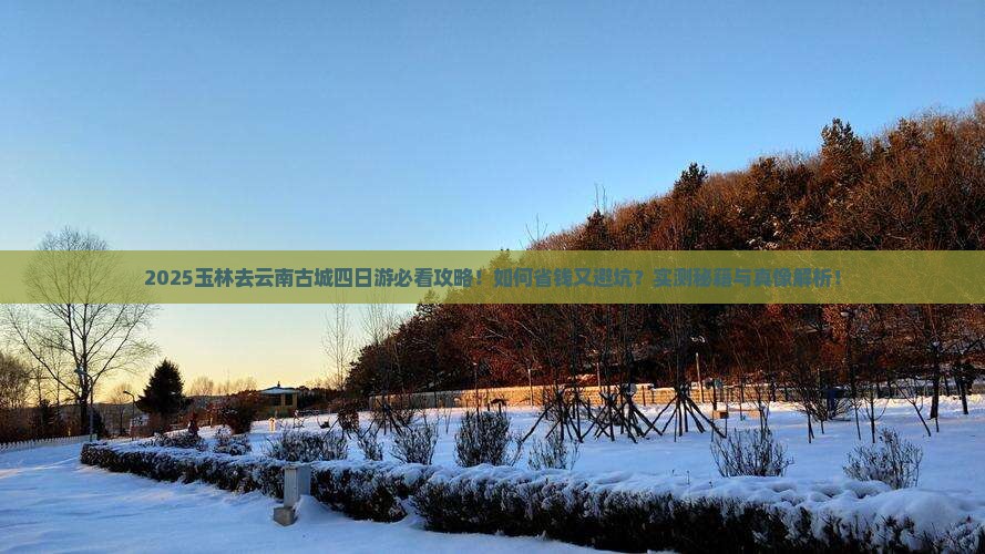 玉林去云南古城四日游