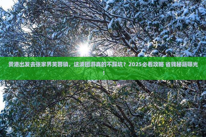 贵港去张家界芙蓉镇团体旅游