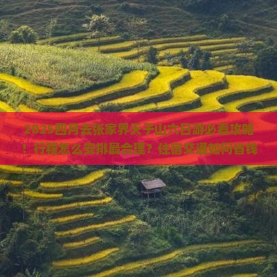 四月去张家界天子山六日游
