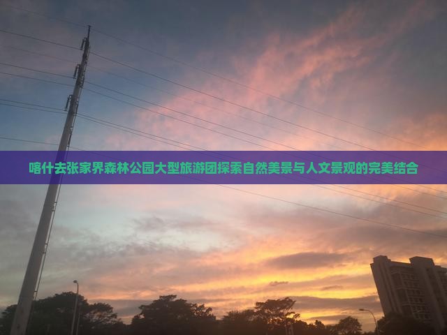 喀什去张家界森林公园大型旅游团