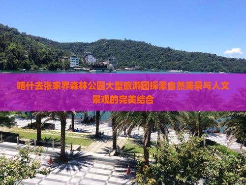 喀什去张家界森林公园大型旅游团