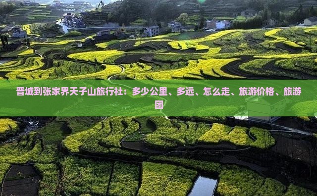 晋城到张家界天子山旅行社