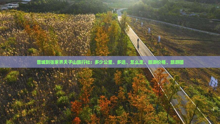 晋城到张家界天子山旅行社