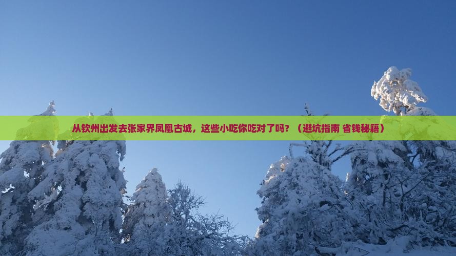 钦州去张家界凤凰古城旅游小吃