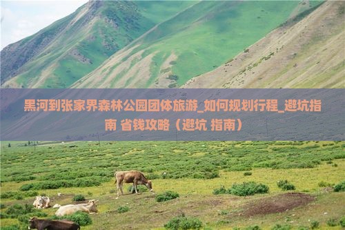 黑河到张家界森林公园团体旅游 黑河到张家界森林公园团体旅游
