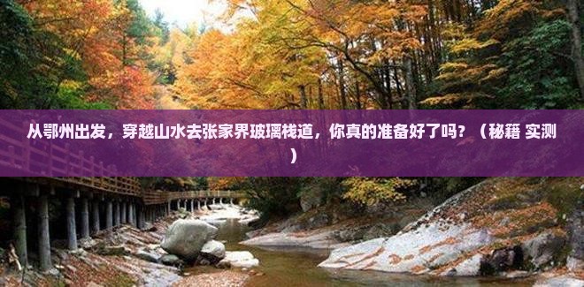 鄂州到张家界玻璃栈道旅游